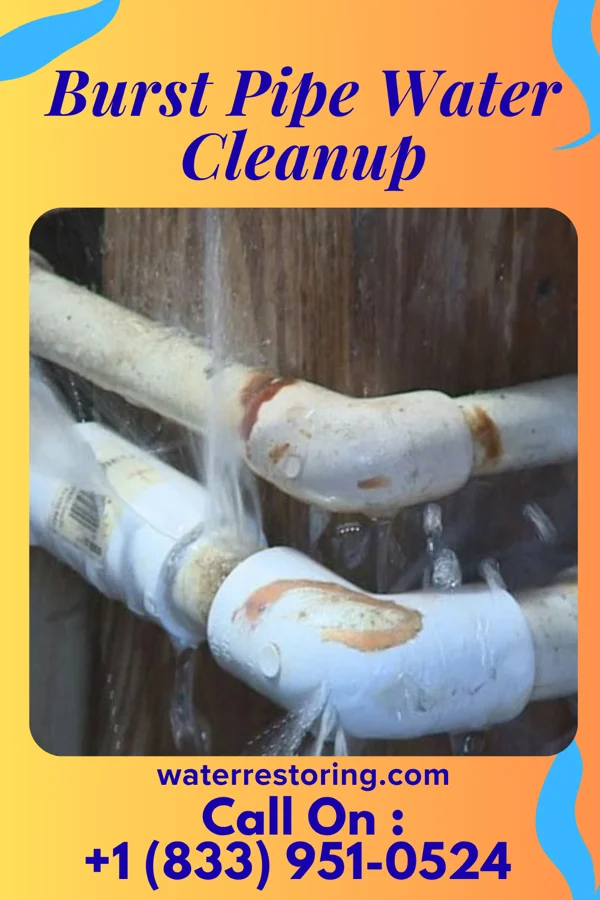 Burst Pipe Water Cleanup in Hermantown, MN