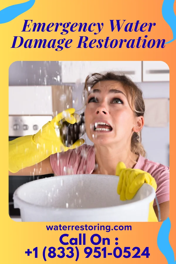 Emergency Water Damage Restoration in Hermantown, MN