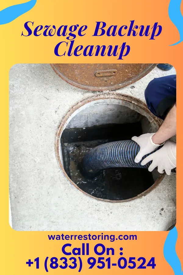 Sewage Backup Cleanup in Hermantown, MN