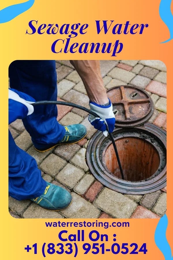 Sewage Water Cleanup in Hermantown, MN